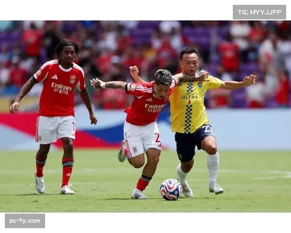 拜仁女足观赛人数破5万，新球场计划提升球迷体验与商业价值